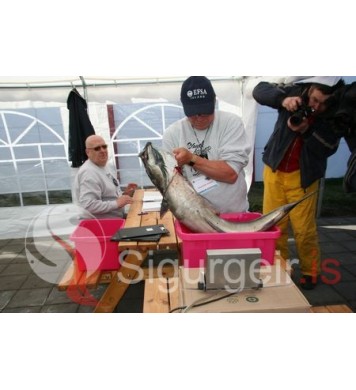 Evrópumót í sjóstangaveiði.