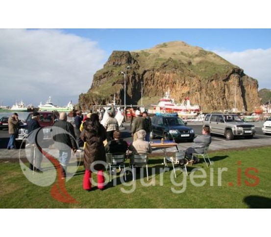 Sjóstangaveiðimót.