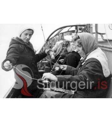 Sjóstangaveiðimót.