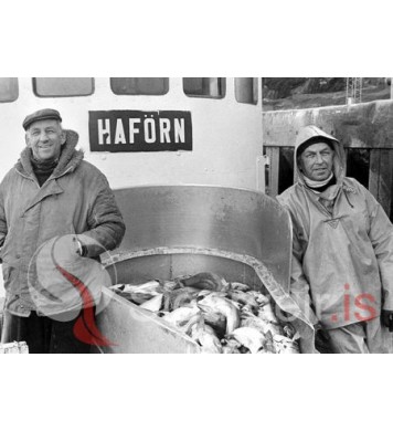 Ingólfur og Svenni Matt.