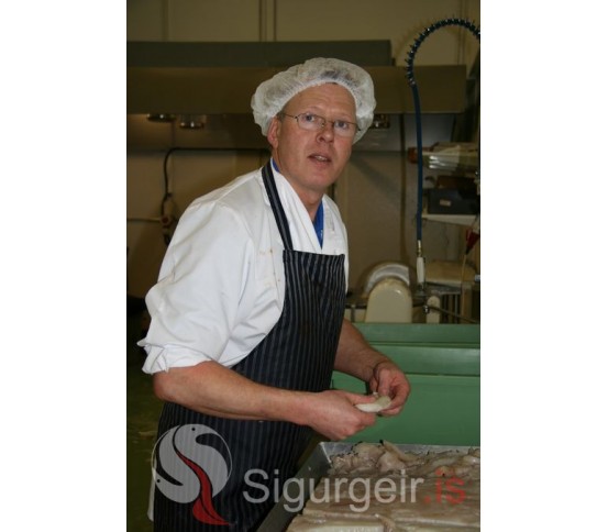 Stefán Sigurðsson.