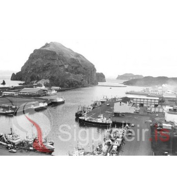 Friðarhöfn, Vestmannaeyjum.