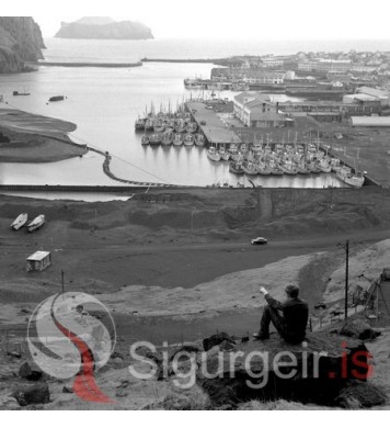 Höfnin í Vestmannaeyjum.