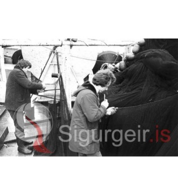 Netagerðin Ingólfur. 