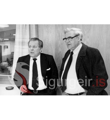 Tryggvi Jónasson og Matthías Bjarnason.