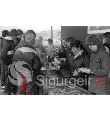 Björgunarsveitir.