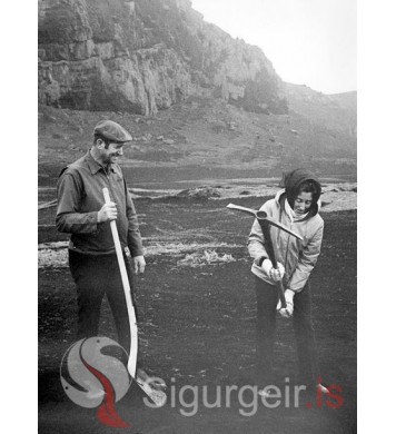 Golfklúbbur Vestmannaeyja.