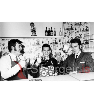 Hermann, Birgir og Kristmann.