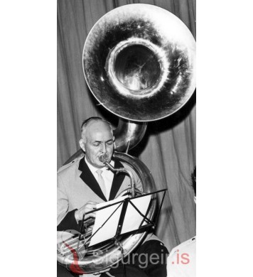 Hreggviður Jónsson.