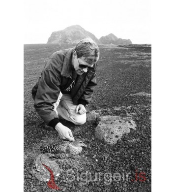 Ingibergur Einarsson.