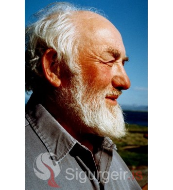 Hafsteinn Guðmundsson.