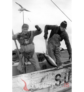 Sjóstangaveiðimót.