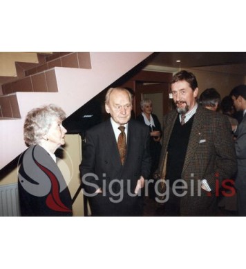 Bæjarveitur Vestmannaeyja.