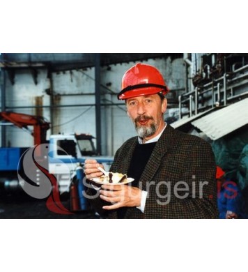 Páll Zóphóníasson, byggingatæknifræðingur.