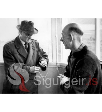 Júlíus Þórarinsson og Skarphéðinn Vilmundarson.