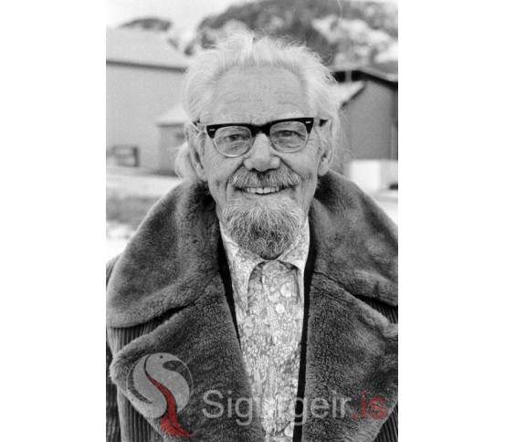 Stebbi pól.
