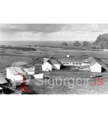 Dalir og Dalabúið.