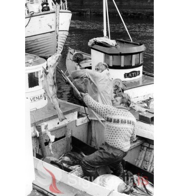 Löndun við Bæjarbryggjuna.