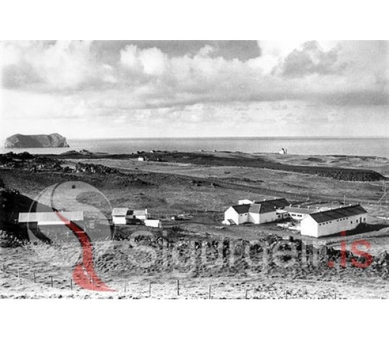 Dalir og Dalabúið.