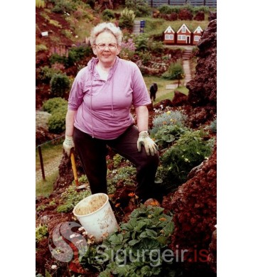 Guðfinna Ólafsdóttir.