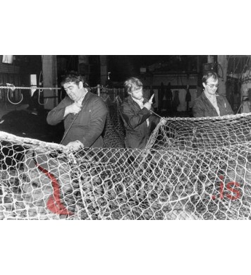 Netagerðin Ingólfur. 