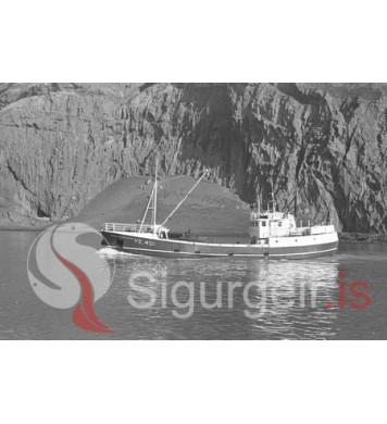 Þórunn Sveinsdóttir VE 401.