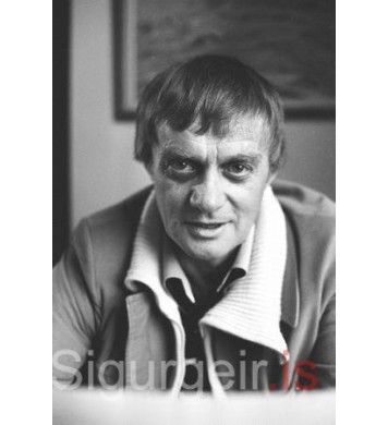 Sverrir Haraldsson, listmálari.