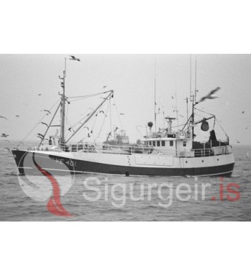 Þórunn Sveinsdóttir VE-401.