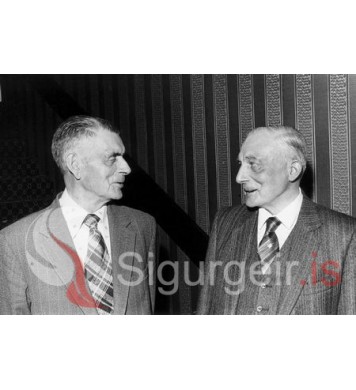 Bræðurnir í Holti.