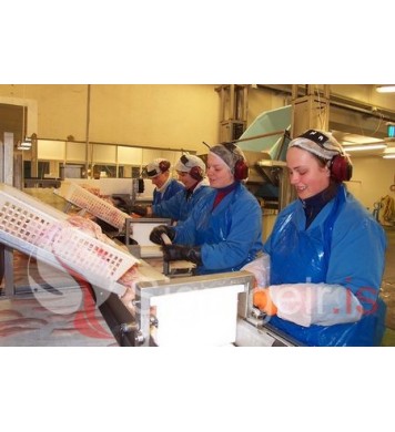 Skólastúlkur í sumarvinnu.