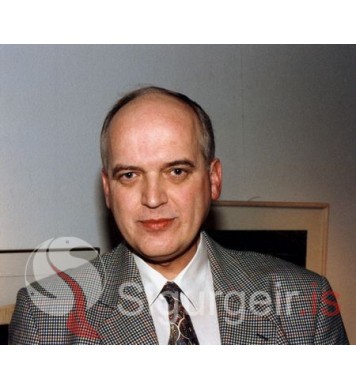 Þorsteinn Ingólfsson.