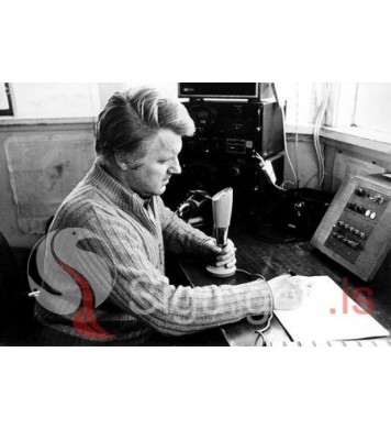 Bjarni Herjólfsson.