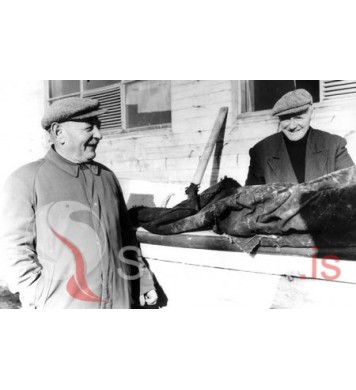 Björn og Ingibergur.