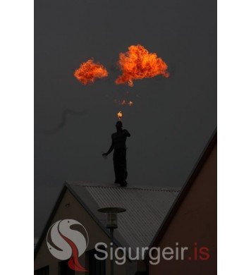 Goslokahátíð 2009.