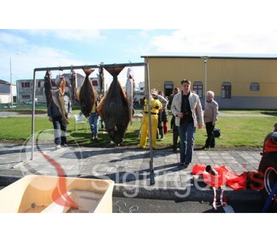 Sjóstangaveiðimót.