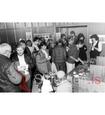 í Sparisjóði Vestmannaeyja.