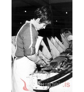 Sólveig Adolfsdóttir.