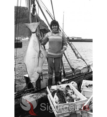 Lilla í Borgarhól.