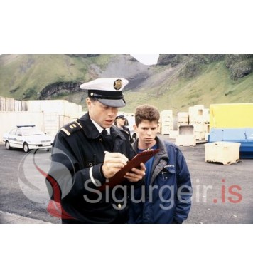 Lögreglan í Vestmannaeyjum.
