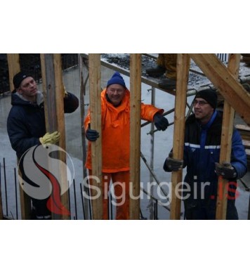 Steisi, Þórarinn og Siggi.