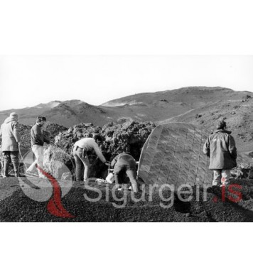 Við tökur á kvikmyndinni Enemy mine.