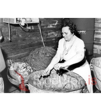 Margrét Sveinsdóttir á Hólmi.