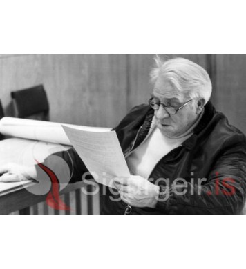 Einar Sveinn Jóhannesson.