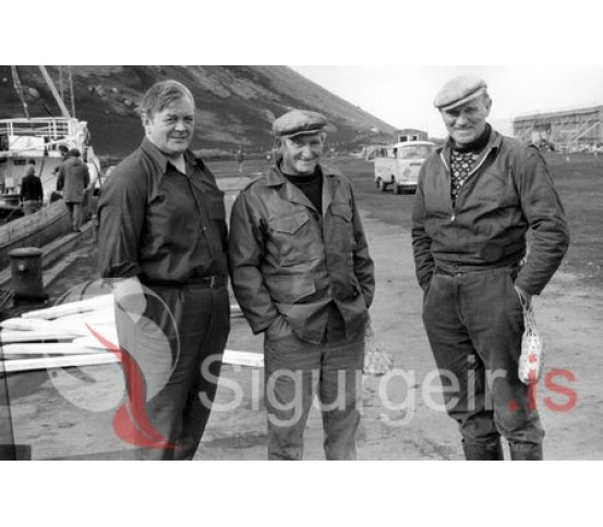Þekkt andlit við höfnina Siggi, Beggi og Siggi.