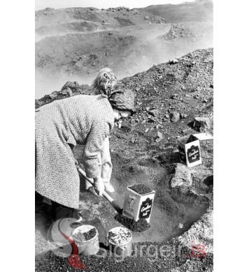 Halldóra Úlfarsdóttir.