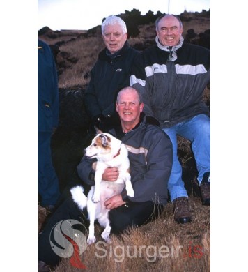 Aðalsteinn, Hjálmar og Marinó.