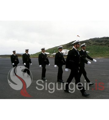 Lögreglan í Vestmannaeyjum.