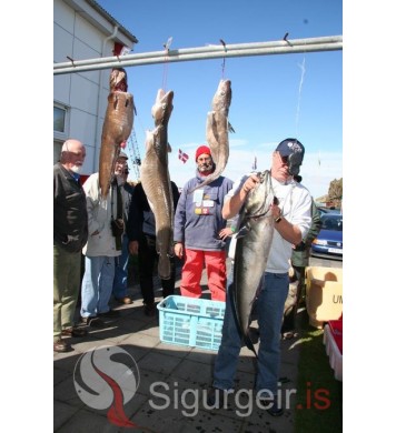 Evrópumót í sjóstangaveiði.