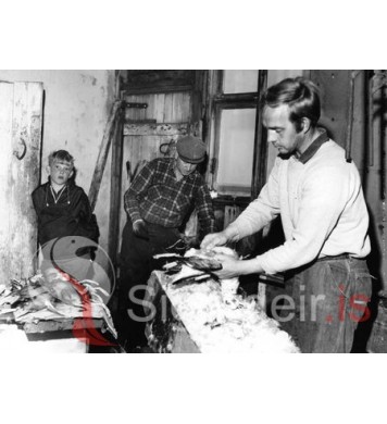 Leifi í Laufási og Ragnar í Bræðratungu.