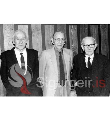 Júlli á Hlíðarenda, Friðrik á Hól og Karl Sigurhansson.